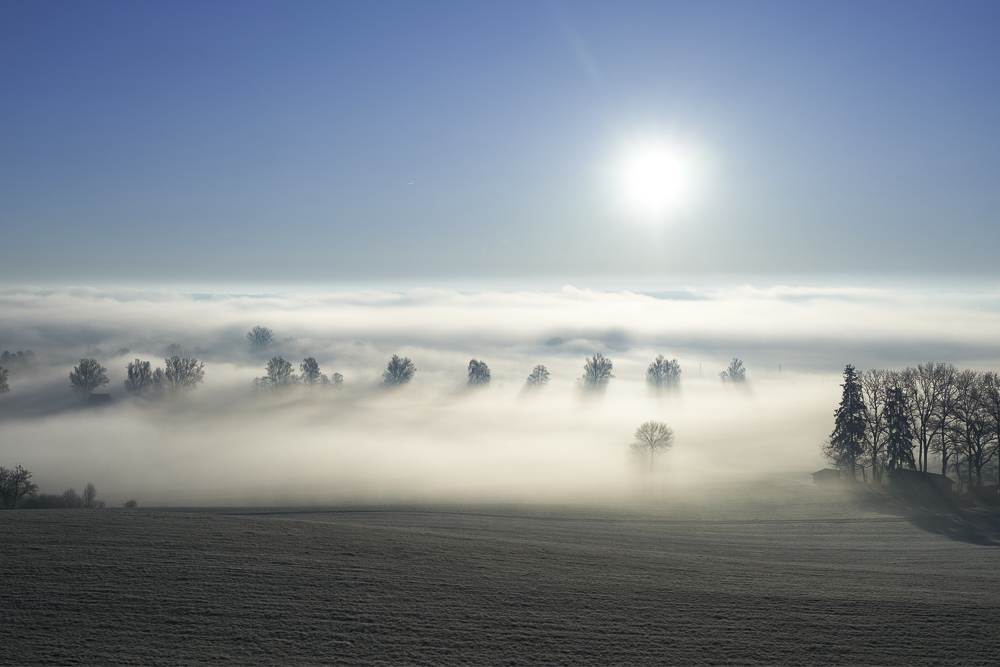 Platz 7 Klaus Koenig